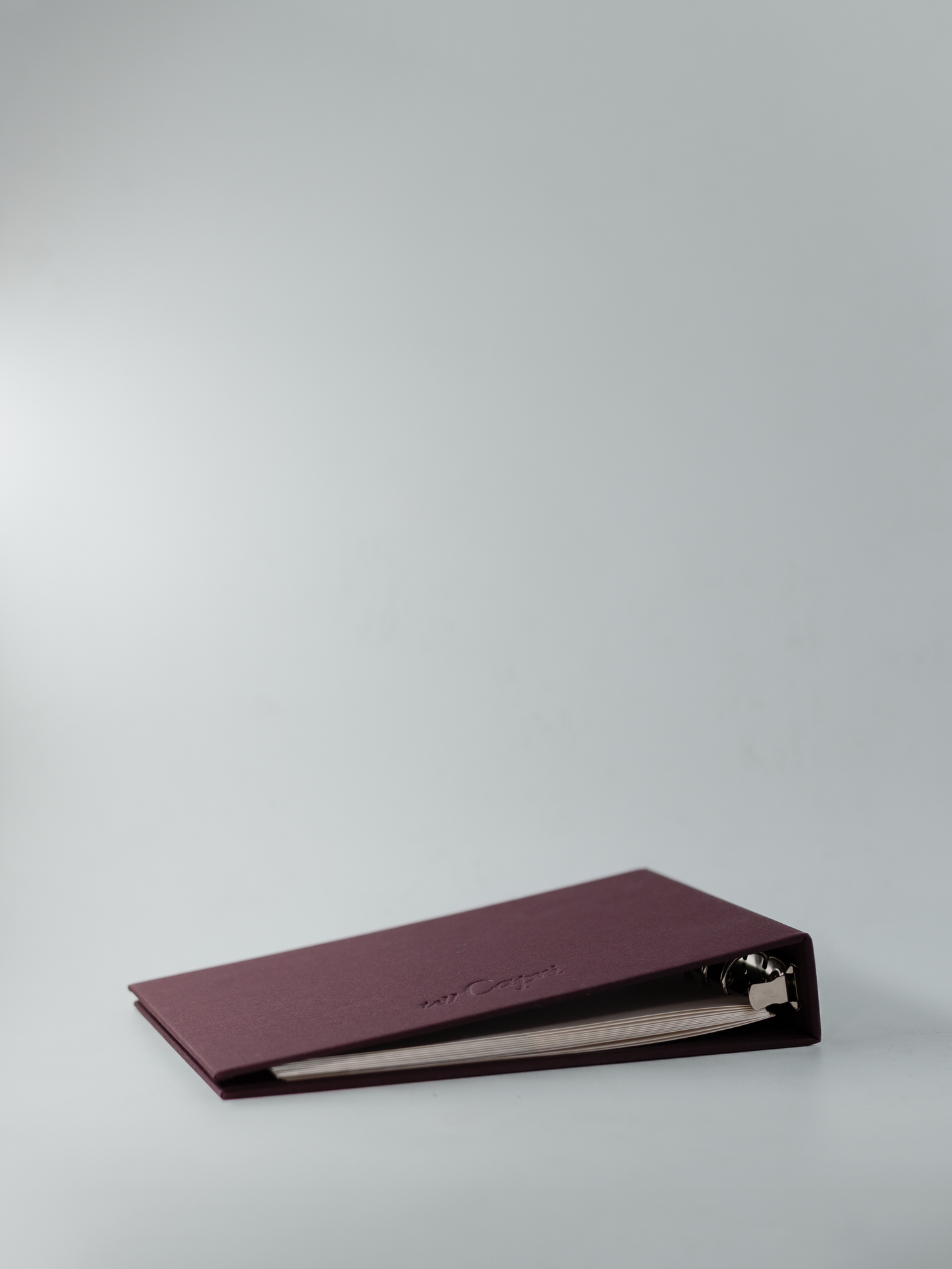 THE SCRAPBOOK