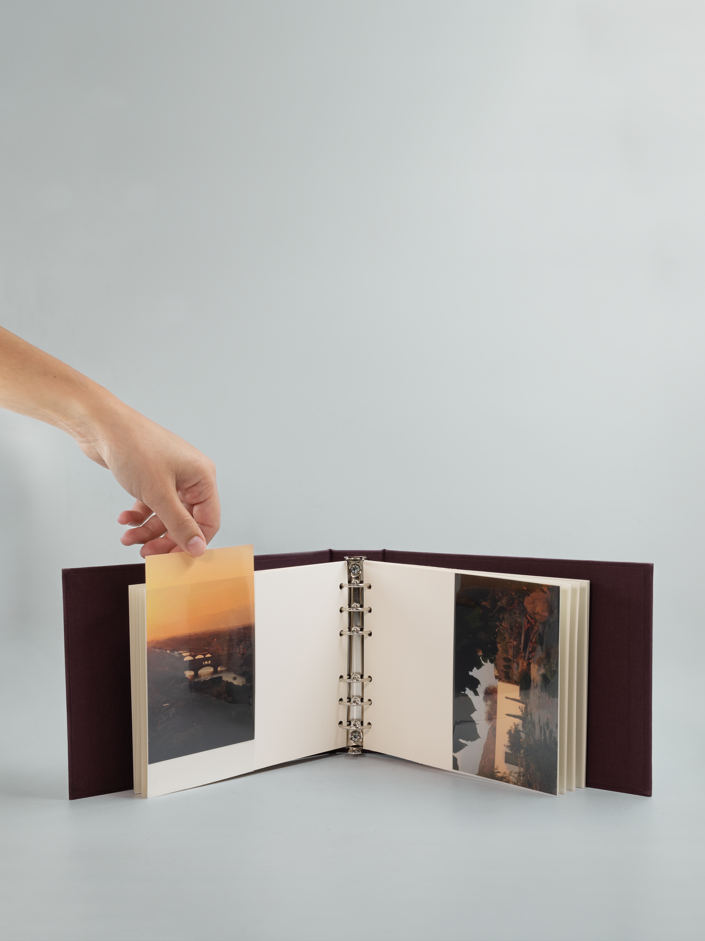 THE SCRAPBOOK